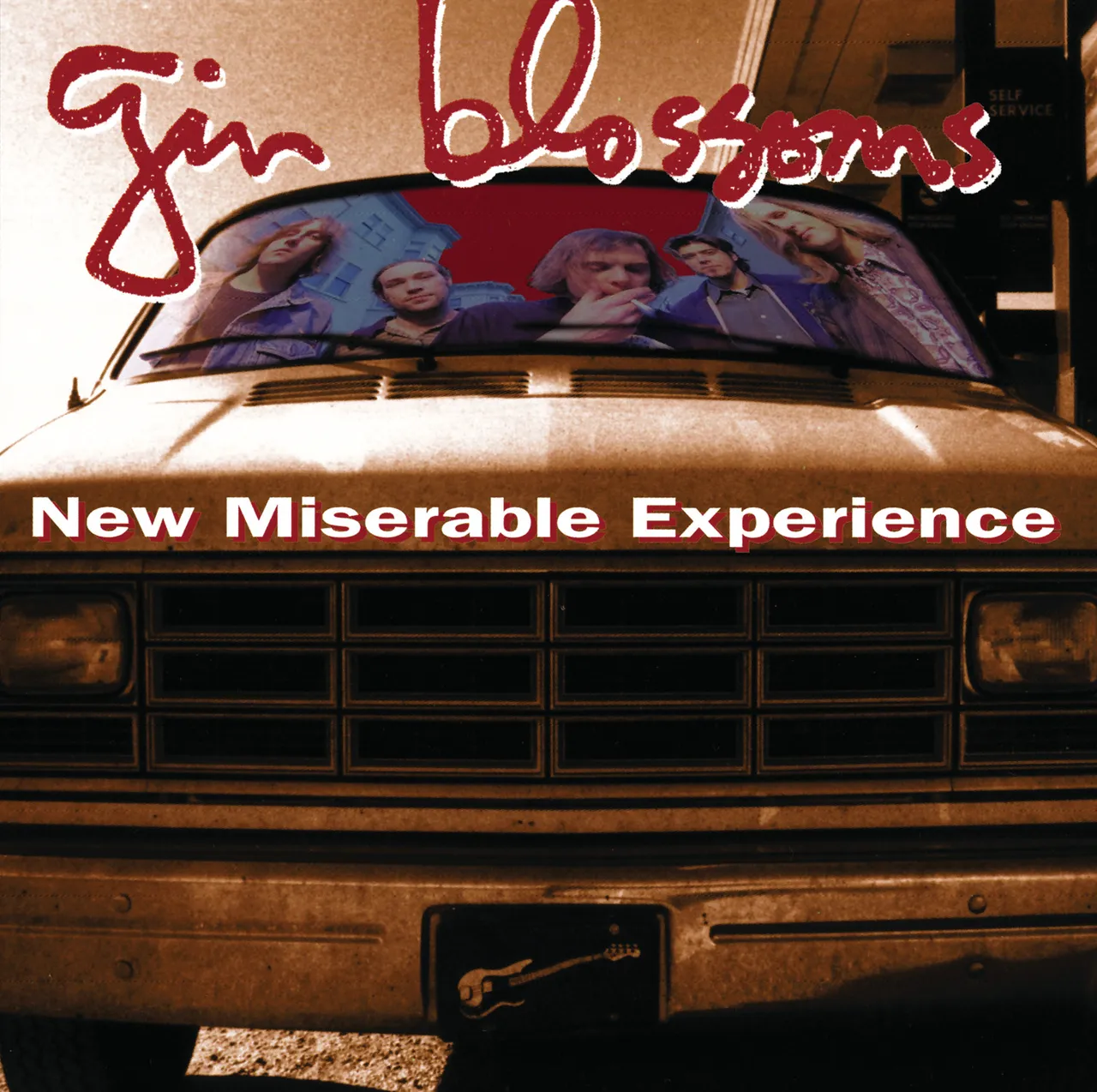 Gin Blossoms New Miserable Experience album cover